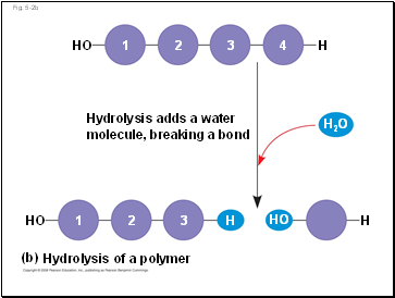 Fig. 5-2b