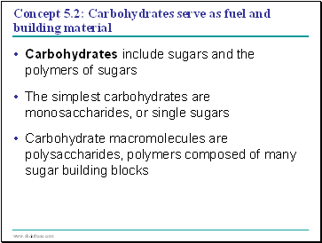 Concept 5.2: Carbohydrates serve as fuel and building material