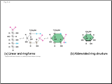 Fig. 5-4