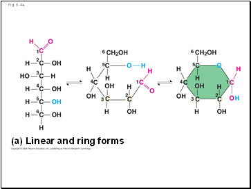 Fig. 5-4a