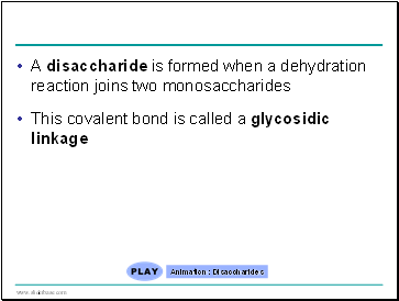 A disaccharide is formed when a dehydration reaction joins two monosaccharides