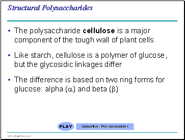 Structural Polysaccharides