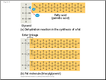 Fig. 5-11