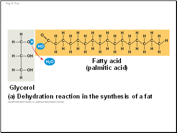 Fig. 5-11a