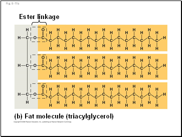 Fig. 5-11b