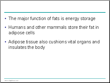 The major function of fats is energy storage