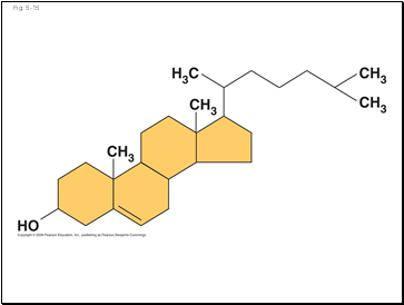 Fig. 5-15