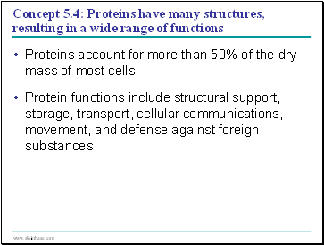 Concept 5.4: Proteins have many structures, resulting in a wide range of functions