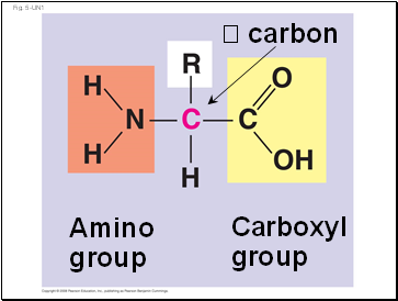 Fig. 5-UN1