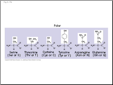 Fig. 5-17b