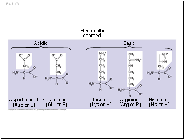 Fig. 5-17c