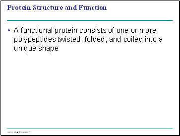 Protein Structure and Function