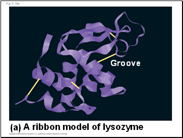 Fig. 5-19a