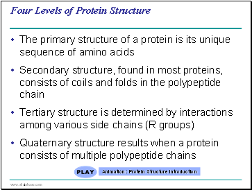 Four Levels of Protein Structure