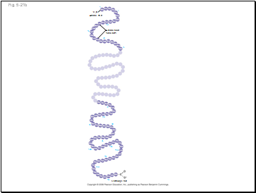 Fig. 5-21b