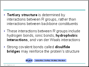 Tertiary structure is determined by interactions between R groups, rather than interactions between backbone constituents