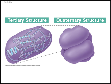 Fig. 5-21e