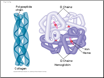 Fig. 5-21g