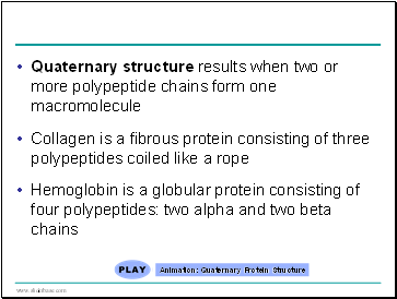 Quaternary structure results when two or more polypeptide chains form one macromolecule