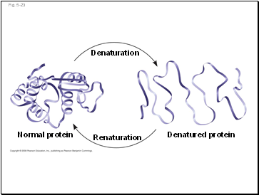 Fig. 5-23