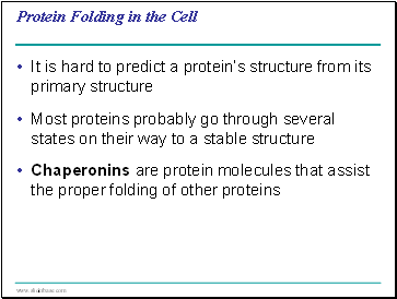 Protein Folding in the Cell