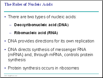 The Roles of Nucleic Acids