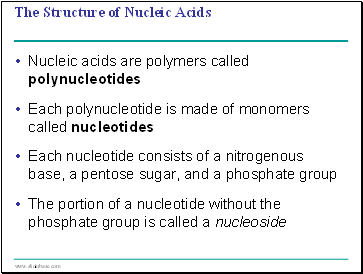 The Structure of Nucleic Acids