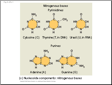 Fig. 5-27c-1