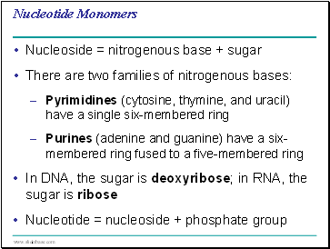 Nucleotide Monomers