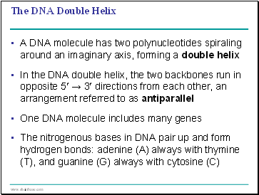 The DNA Double Helix