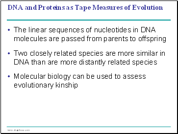 DNA and Proteins as Tape Measures of Evolution