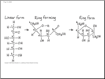 Fig. 5-UN4