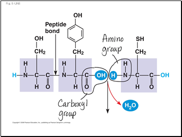 Fig. 5-UN5