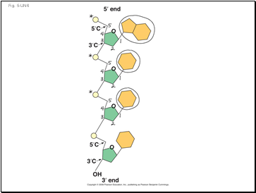 Fig. 5-UN6