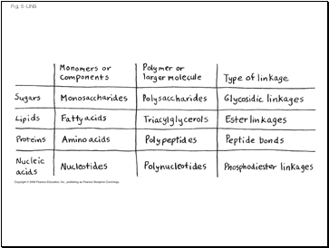 Fig. 5-UN9