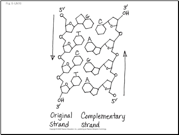 Fig. 5-UN10