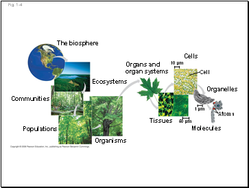 Fig. 1-4