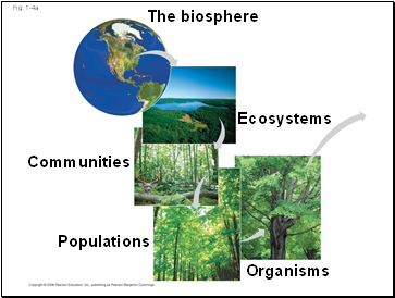 The biosphere