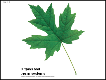 Fig. 1-4h