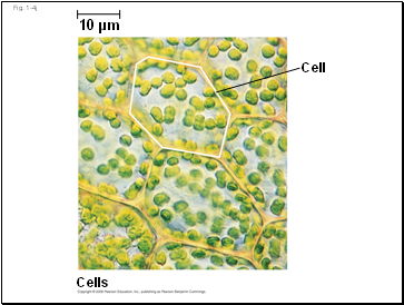 Fig. 1-4j