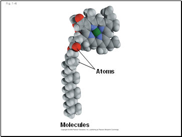 Fig. 1-4l