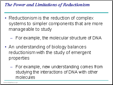 The Power and Limitations of Reductionism
