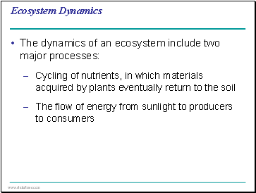 Ecosystem Dynamics