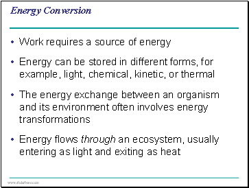 Energy Conversion