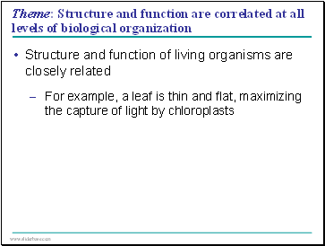 Theme: Structure and function are correlated at all levels of biological organization