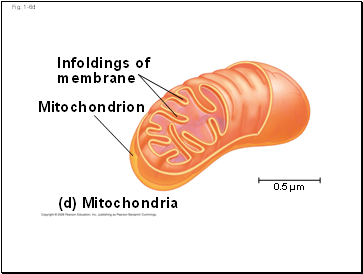 Fig. 1-6d