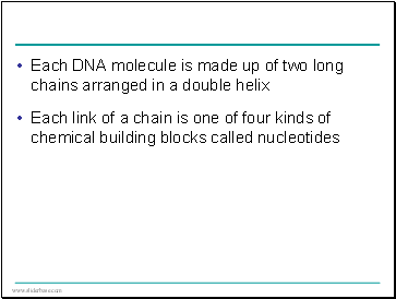Each DNA molecule is made up of two long chains arranged in a double helix
