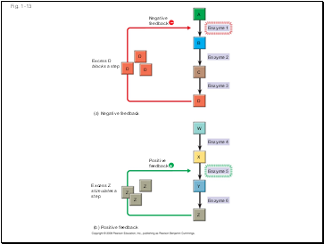 Fig. 1-13