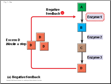 Fig. 1-13a