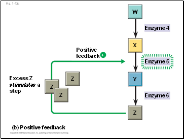 Fig. 1-13b